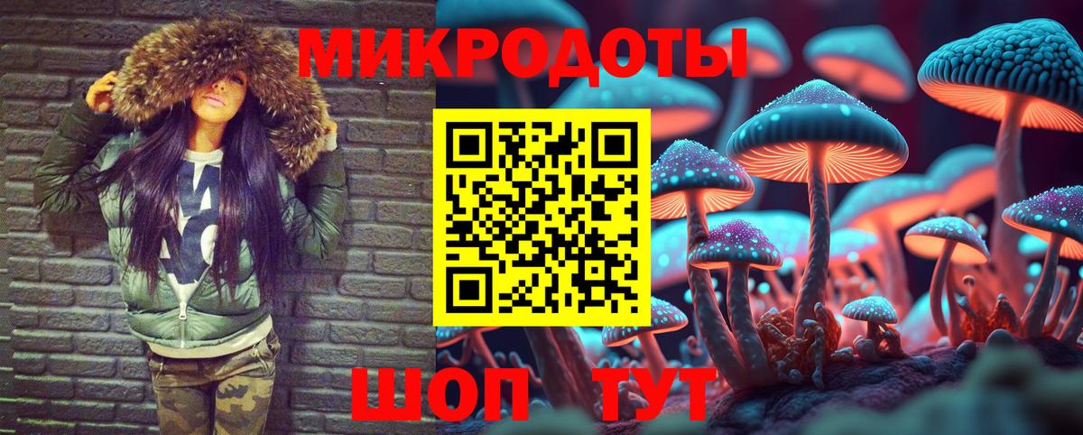 Псилоцибиновые грибы Psilocybe Кропоткин